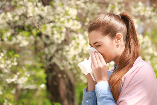 Rinsing nasal passages with a saline solution is another option to help flush allergens out of the nose. (Adobe Stock) 
