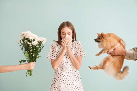 Experts recommend starting allergy medication early to help your body better manage symptoms once pollen season begins. (Adobe Stock)