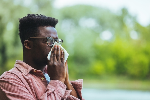 According to UnitedHealthcare, medical costs associated with pollen allergies exceed $3 billion a year, with nearly half of those costs linked to prescription drugs. (Adobe Stock)