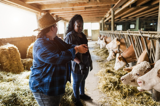 Some 18% of farms operated by beginning farmers report sales of $50,000 or more, compared to 26% of farms run by established producers. (DisobeyArt/Adobe Stock)