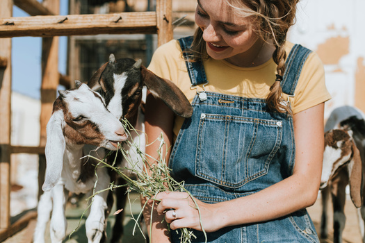 According to the 2022 Census of Agriculture, 41% of Wyoming's farmers are women. (Adobe Stock)