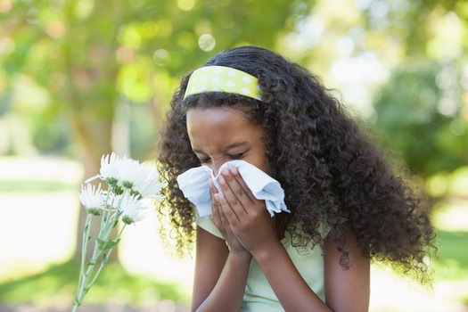 Seasonal allergies are expensive when they result in missed work and school days along with high medical costs. (WavebreakmediaMicro/Adobe Stock) 