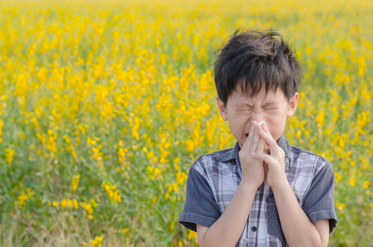 Seasonal allergies are getting worse in part because increased CO2 in the air triggers plants to produce more pollen. (gamelover/Adobe Stock)