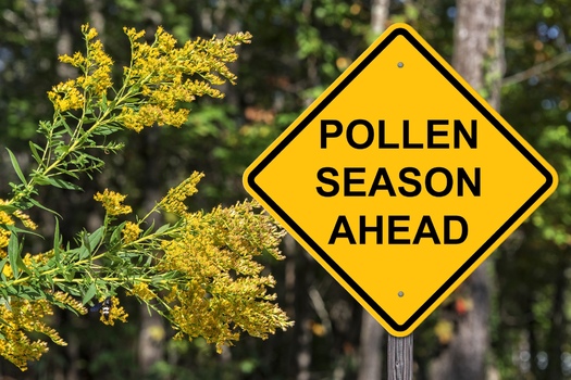 So far, climate change has extended allergy season in Colorado by two additional weeks over historical averages. (Adobe Stock)