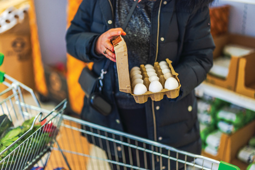 Despite some state space improvements, about 60% of U.S. egg-laying hens are still kept in cramped battery cages, each with less space than a sheet of paper. (Alex/AdobeStock) 