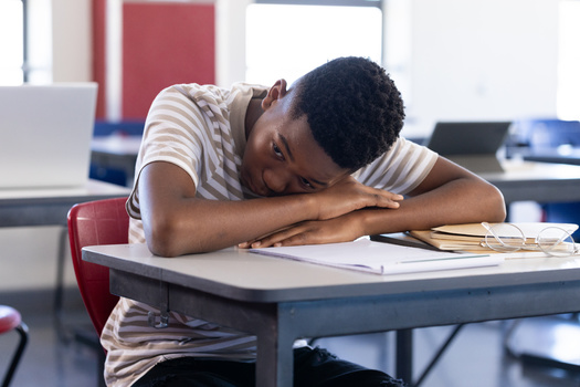A report from the mental health advocacy organization Inseparable found Delaware has met 61.3% of its goal of hiring school psychologists but has fallen far short on hiring school-based social workers. (Adobe Stock)