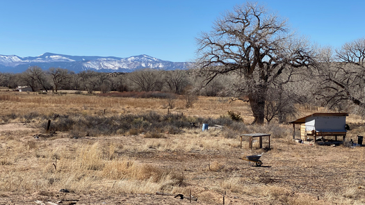 New Mexico's snowpack is significantly below normal for this time of year, with levels at 36% across the state. (Photo courtesy Isabelle Jenniches)