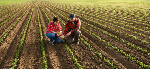 More than two-thirds of producers surveyed by the National Wildlife Federation believe allocating federal funds specifically to support farmers in adopting climate-smart agriculture practices is a worthwhile investment. (Dusan Kostic/Adobe Stock)