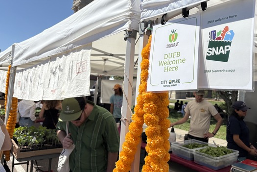 Los programas de incentivos como Double Up food bucks, que permiten a los participantes en el SNAP comprar ms productos frescos y otros alimentos saludables en los mercados agrcolas, han mejorado la dieta de las familias. (Adobe Stock)