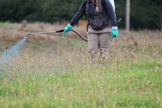 While the U.S. Environmental Protection Agency has not declared glyphosate itself carcinogenic, some toxicologists have said the components in the pesticide Roundup, a herbicide which includes glyphosate, make it 50 times more toxic than glyphosate alone. (Adobe Stock)