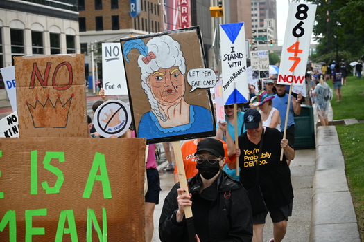 Organizers said demonstrations throughout the country Saturday drew more than 5 million protesters. (Joe Ulery/Public News Service)