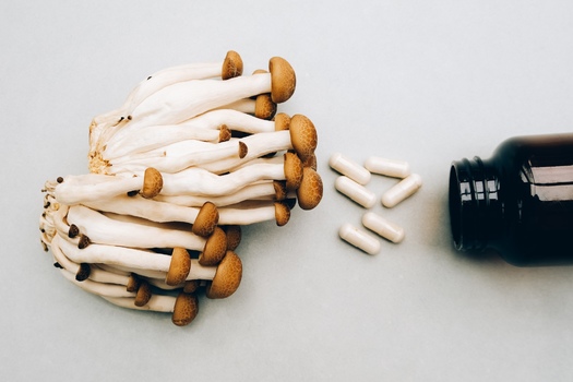 Colorado spotlights role of psychedelics in addressing overdose crisis