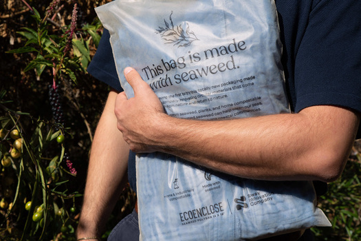Los envases compostables fabricados con algas o residuos alimentarios son una alternativa ms sostenible a los envoltorios de plstico y el poliestireno. (Sway)
