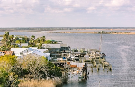 Apalachicola Bay used to be the historic epicenter of the U.S. oyster industry, once producing 90% of Florida's oysters and 10% of the nation's supply. (Margaret Burlingham/Adobe Stock)
