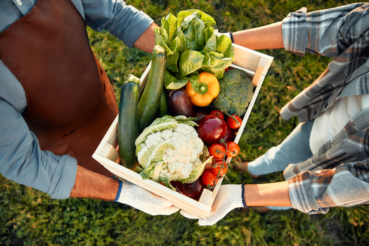 In Fiscal Year 2024, Ohio's state-funded food programs created or sustained 292 jobs, supported $11.3 million in income and generated $38.4 million in economic output. (Adobe Stock)