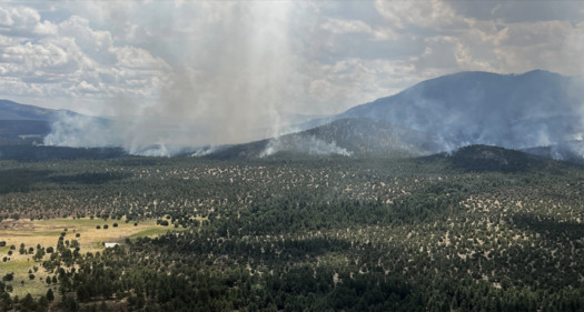 New Mexico's peak fire season is still a week away, but firefighters already are working round-the-clock shifts to battle blazes in the southern part of the state. (swfireconsortium.org)