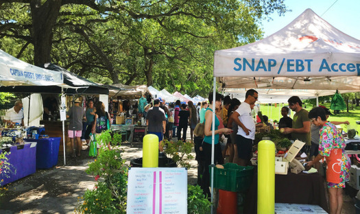In 2023, $70.6 million in SNAP benefits were spent at farmers markets, a 431% increase from $13.3 million in 2013, according to Investigate Midwest. (Photo courtesy Farmers Market Coalition)