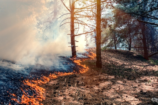 Fire is a natural event on landscapes and indigenous people have used prescribed burns to keep forests and grasslands healthy for hundreds of years. (Adobe Stock)