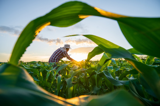 Hoosier businesses face fallout from tariff shake-up