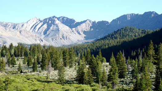 PHOTO: The proposed Italian Peaks Wilderness Area in the Beaverhead-Deerlodge National Forest. MWA photo.