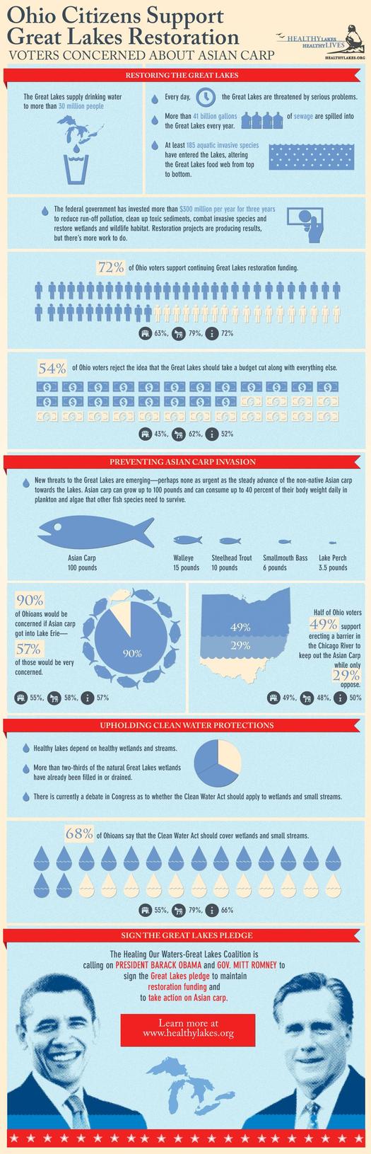 infographic on survey