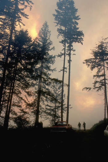 PHOTO: Trees burning in forest fire.  Corbis.  All Rights Reserved.