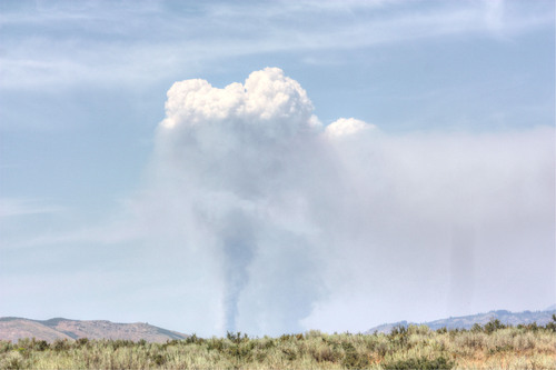 PHOTO: Plume of smoke from a fire in the Salmon-Challis National Forest. Photo credit: Deborah Smith