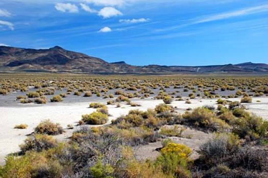 PHOTO: Desert scene near Valley Falls in Lake County, Oregon. Photo credit: Gary Halvorson, Oregon State Archives.