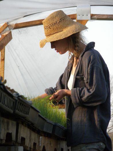 PHOTO: Tilian residency farm manager Rachel Beyer. Courtesy of: Tilian Farm Development Center.