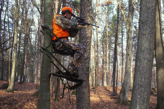 PHOTO: Man in a deer stand. Photo credit: Steve Maslowski, U.S. Fish & Wildlife Service.