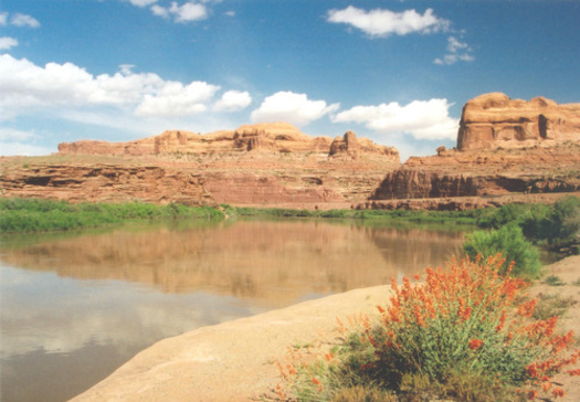PHOTO: The Lower Colorado River at Utah's Gold Bar Campground. Photo credit: A.E. Crane, America's Byways.