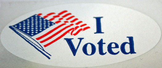 PHOTO: 'I Voted' sticker. Photo credit: Deborah C. Smith