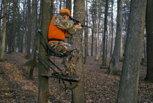 PHOTO: Hunter in tree stand. Courtesy U.S. Fish and Wildlife Service