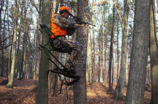 PHOTO: Man in a deer stand. Conservation is just as important as gun rights, according to a new poll of sportsmen. Photo credit: Steve Maslowski, U.S. Fish & Wildlife Service.