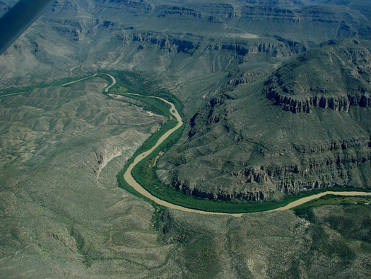 Photo (courtesy US Dept of Agriculture): aerial view of arundo near Big Bend National Park.