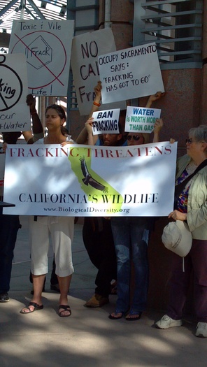 PHOTO: Demonstration against fracking outside Dept. of Conservation.