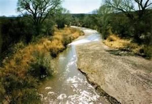 IMAGE: San Pedro River CREDIT: Tucson Citizen archives