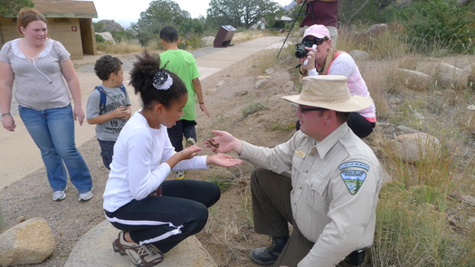 PHOTO: Krista Stoot looks at a tarantula held by a park ranger while Julia Armstrong focuses camera at Aguirre Springs Campground. Photo credit: Eliza Kretzmann.