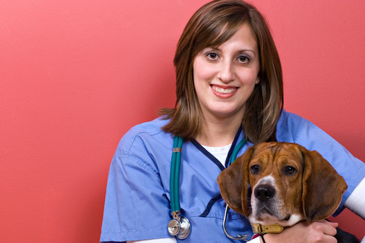 PHOTO:  A veterinary Technician with dog. 