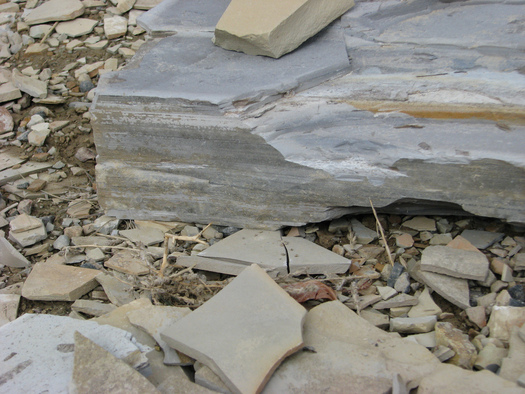 Photo: Oil shale rock, Roan Plateau, CO. Courtesy Colorado Environmental Coalition.