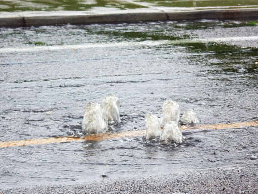 PHOTO: A new guidebook will help project designers in Washington, D.C., incorporate features to minimize runoff, so it doesn't end up overburdening the stormwater-sewage system. Photo credit: Deborah C. Smith