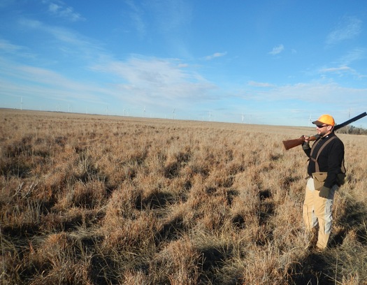 Photo: Pheasant hunting outside of Haxtun, CO near the Xcel wind power plant. Courtesy Lew Carpenter, NWF.