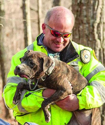 Cheatham County Animal Control Director TJ Jordi rescues one of the dogs.  Credit Amiee Stubbs/Animal Rescue Corps