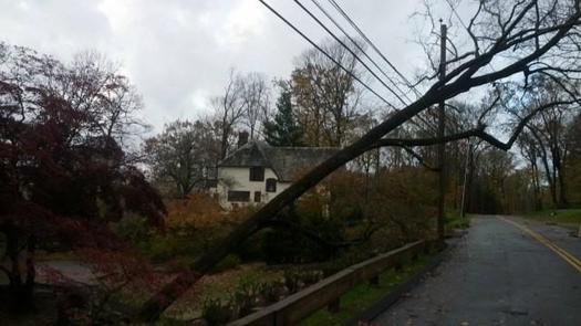 PHOTO: Some progress, but lots of work to be done. Thats the finding of a new (AARP) survey of 50+ Connecticut residents about the performance of electric utilities and local officials response to Superstorm Sandy.