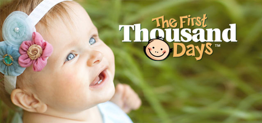 GRAPHIC: The website www.firstthousanddayswv.com is intended to inform policymakers and the public about the importance of the first years of life. Courtesy Early Childhood Advisory Council of West Virginia.