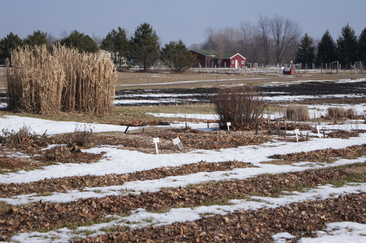 Organic farms such as Giving Tree Farms in Lansing often rely on federal funds for research and certification reimbursement. Those funds were left out of the 2008 Farm Bill.