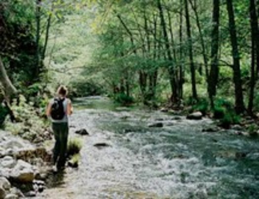 PHOTO: A hiker at Tassajara Creek in the Ventana Wilderness.