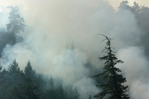 PHOTO: The U.S. Forest Service is returning to its decades-old policy of letting some backcountry fires burn naturally, instead of 