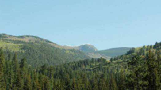 Santa Fe National Forest.Photo Courtesy: Liliana Castillo, Conservation Voters New Mexico.