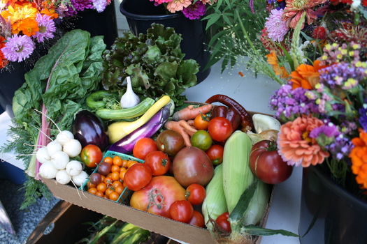 PHOTO: Vegetable and flowers grown on Soil Sisters Farm in Nevada City, CA. The farm benefits from sustainable agriculture programs that Congress left out of the short-term extension of the farm bill.   